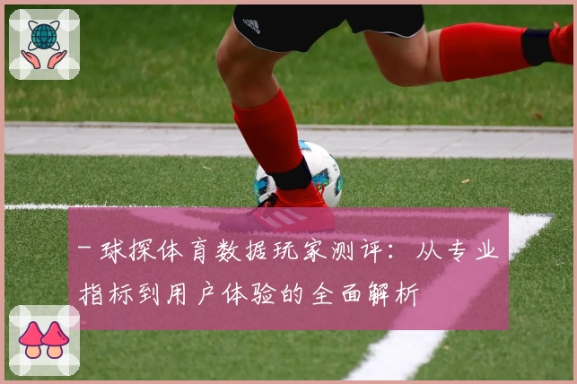 - 球探体育数据玩家测评：从专业指标到用户体验的全面解析