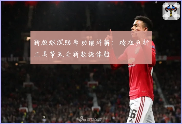 新版球探赔率功能详解：精准分析工具带来全新数据体验