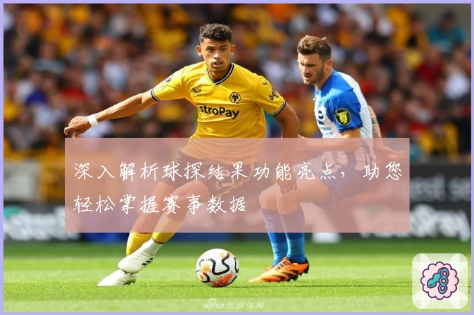 深入解析球探结果功能亮点，助您轻松掌握赛事数据