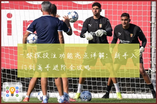 - 球探投注功能亮点详解：新手入门到高手进阶全攻略