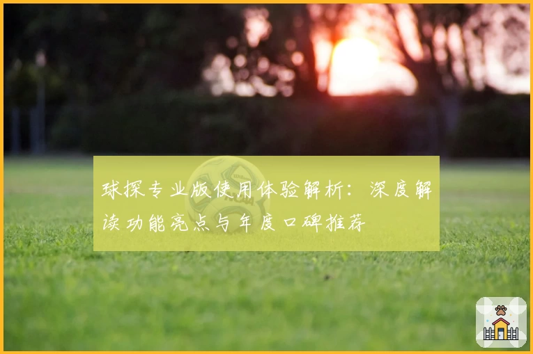 球探专业版使用体验解析：深度解读功能亮点与年度口碑推荐